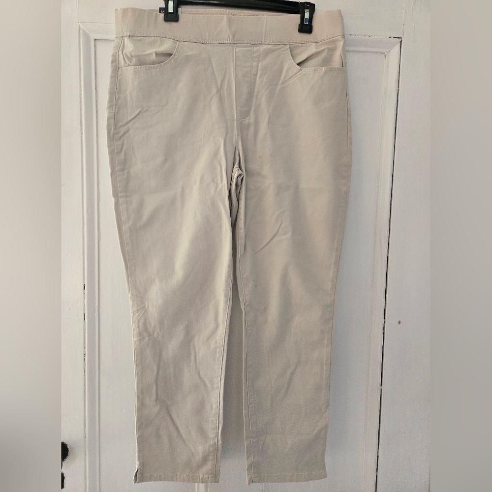 Womans Tan Pants Bnwts